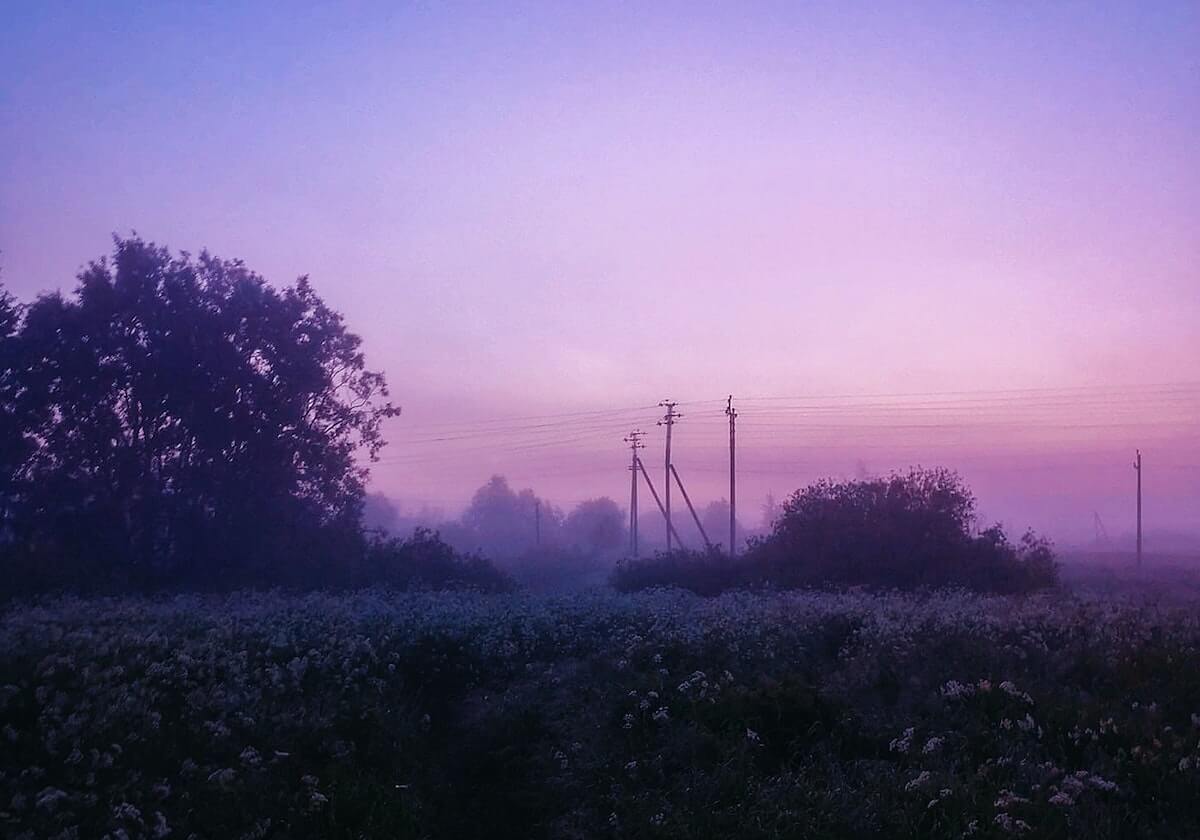 热火球迷吵翻:选Morez还是Yaxel?有人直接掀桌